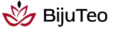 Bijuteo Beading